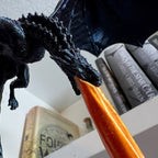 ✨Dragon Flame Book Corner