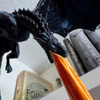 ✨Dragon Flame Book Corner