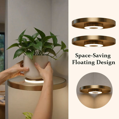 Floating Wall Shelf with Built-in Ambient LED Light💡✨