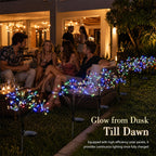 ✨Solar Dandelion Garden Lights Create a Dreamy Fairy Tale Garden Atmosphere