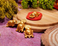 🐢💰2026 Golden Turtle Charm – Bites onto Luck Never Lets Go